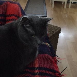 Meet your Posher, Leona